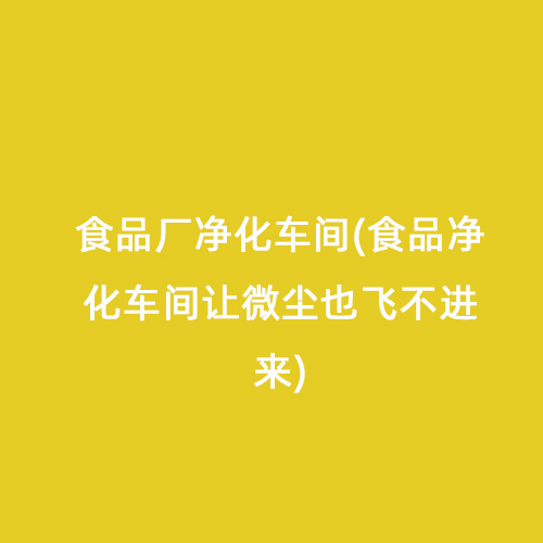 食品廠凈化車間(食品凈化車間讓微塵也飛不進來)